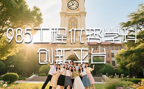 985工程優(yōu)勢學(xué)科創(chuàng)新平臺